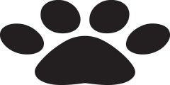 Paws