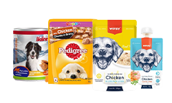 Dog Can | Pouch Food | Wet Food