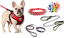 Dog Harness, Leash & Collar