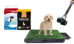 Dog Training Box | Ped | Diaper