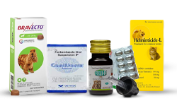 Pet Dewarming Medicine
