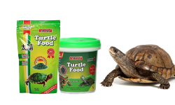 Turtle Food & Accessories