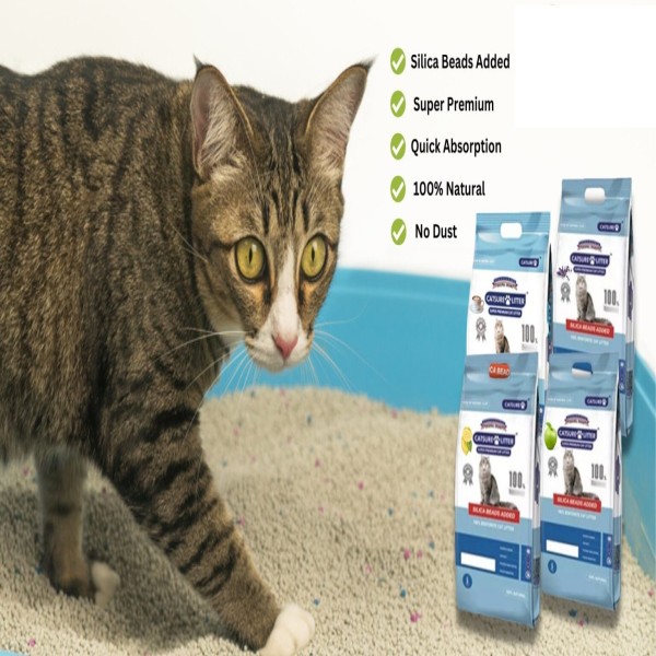 Catsure Super Premium Clumping Cat Litter 10L