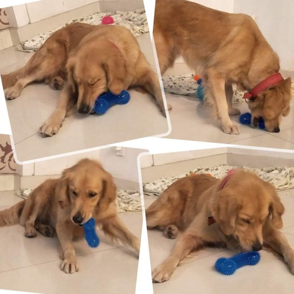 Pet Chew Toys Dog Colorful Rubber Bone for Puppies, Dog Squeaky Bone Shape Teething Toys