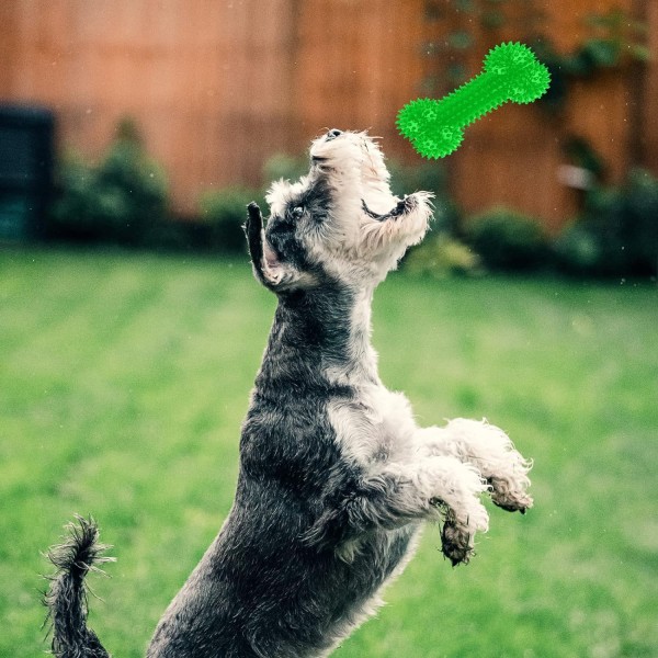 Pet Chew Toys Dog Colorful Rubber Bone for Puppies, Dog Squeaky Bone Shape Teething Toys