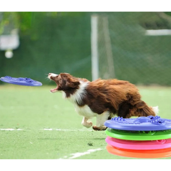 Dog Frisbee Flying Toy
