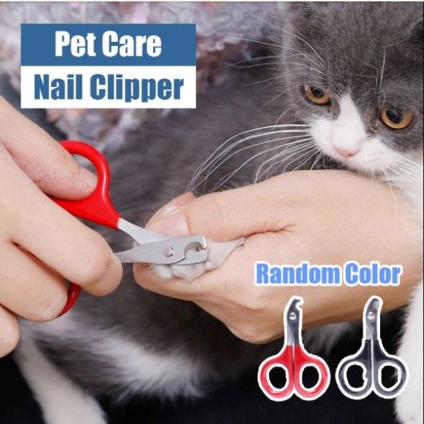 Pets Cat Kitten Nail Clipper Dog Nail Cutter Cat Nail Cutter Stainless Steel Cutter Claw