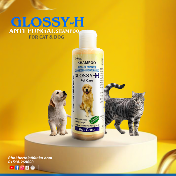 Glossy-H Anti-Bacterial & Anti-Fungal Pet Shampoo For Cats Dogs 200ml | Pet Shampoo | Glossy-H Pet Shampoo