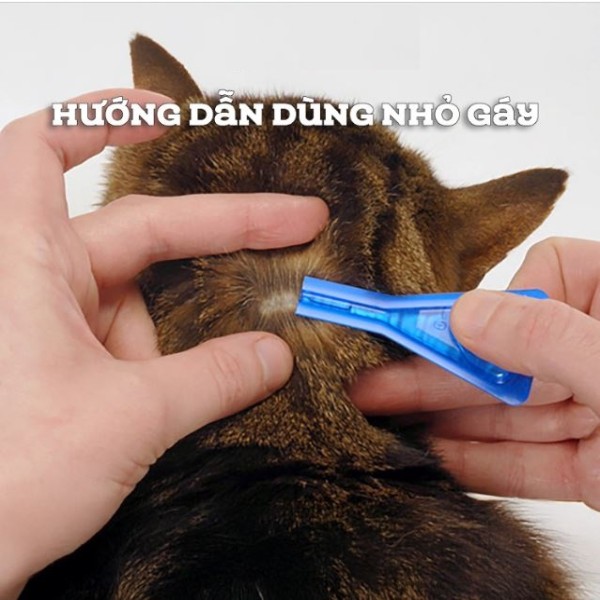 FrontGuard Plus Spot on Tick & Flea Control for Cats (0.5ml)
