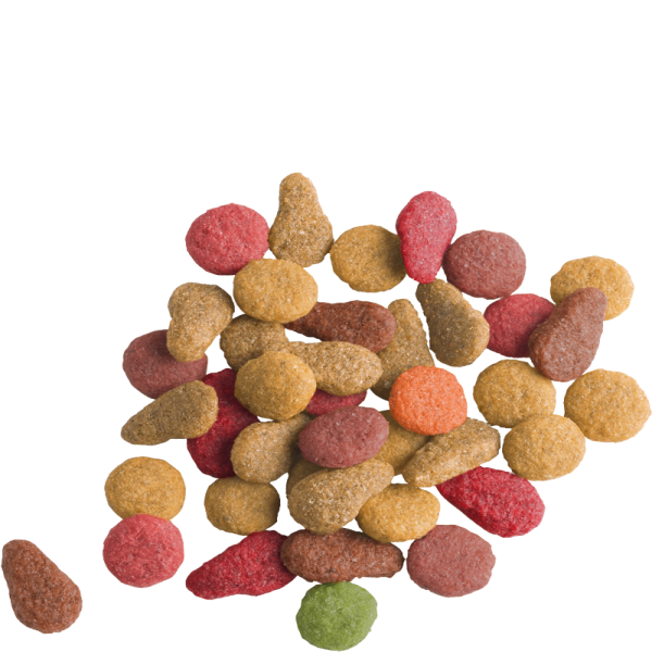 Versele-Laga Lara Adult Dry Cat Food With Salmon 350g
