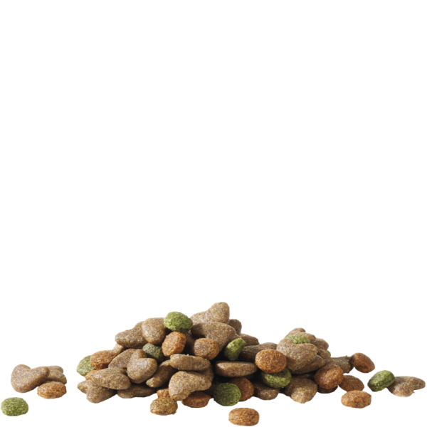 Happy Life Junior With Chicken Dry Dog Food 3kg