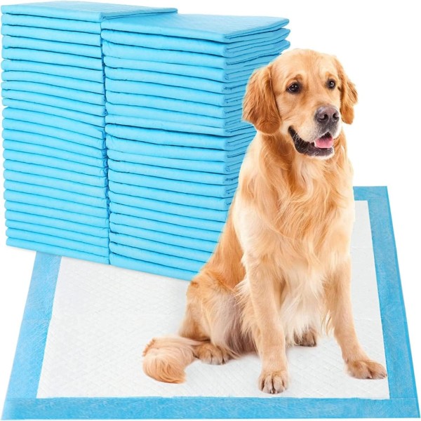Disposable Absorbent Quick Drying, Leak Proof Pet Training Pads For Pets 60x60