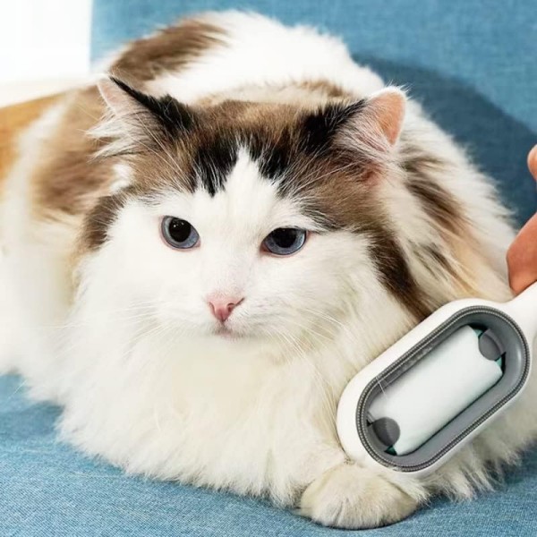 Pet Cat Brush Self Cleaning Slicker Brushes, Pet Grooming Brush for Cats and Dogs