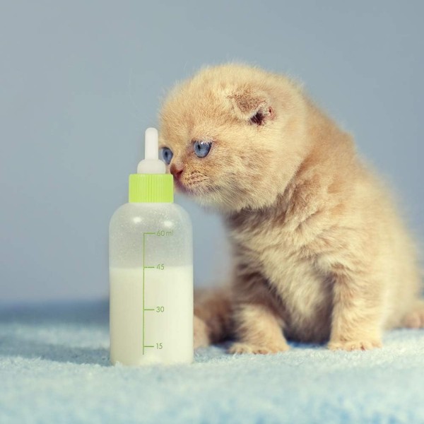 Nursing Bottle Kit, Dog Cat Puppy Milk Feeding Bottle with 4 Replacement Nipples Milk Feeder Care Set