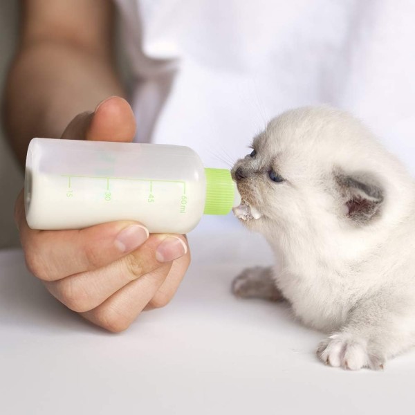 Nursing Bottle Kit, Dog Cat Puppy Milk Feeding Bottle with 4 Replacement Nipples Milk Feeder Care Set