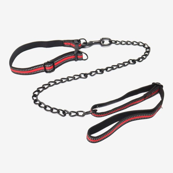 Leash With Collar for All Age Large Beed Dog