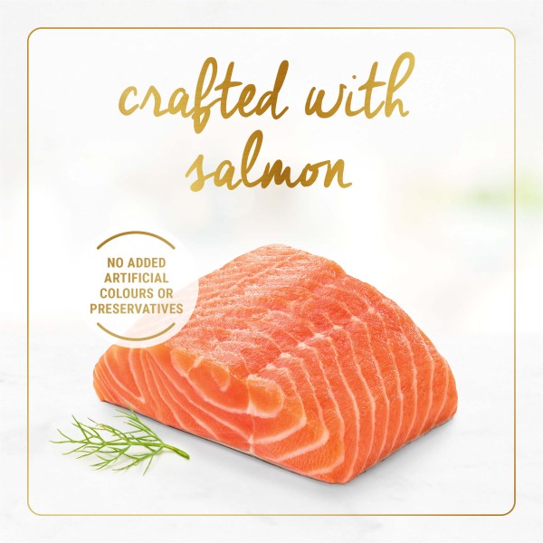 FANCY FEAST Gravy Lovers Salmon Feast in Seared Salmon Flavour Gravy Gourmet Cat Food 85g