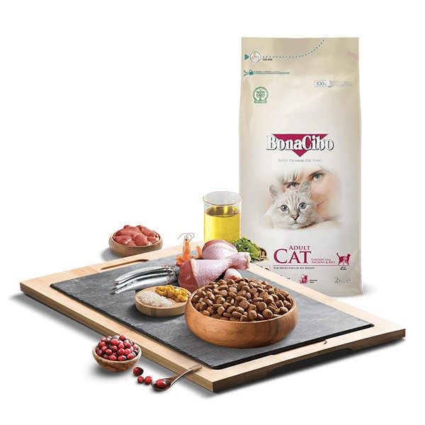 Bonacibo Adult Cat Food - Chicken with Anchovy & Rice | High-Protein Dry Cat Food for Healthy Digestion | For All Breeds Cats