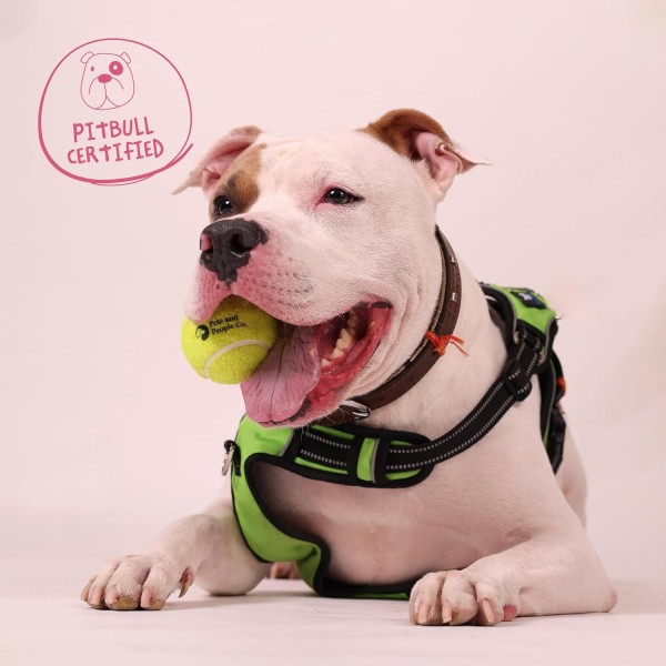 Tennis Ball Set for Dogs - Pitbull Certified - Dog Ball Toy - Perfect for Heavy Chewers (2 pcs)