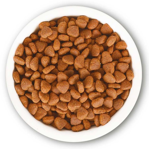 Repack - Jungle Adult Cat Food 1Kg | Repack Cat Food