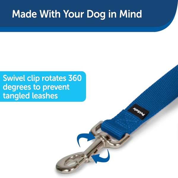 Nylon Dog Leash – Strong, Durable, Traditional Style Leash