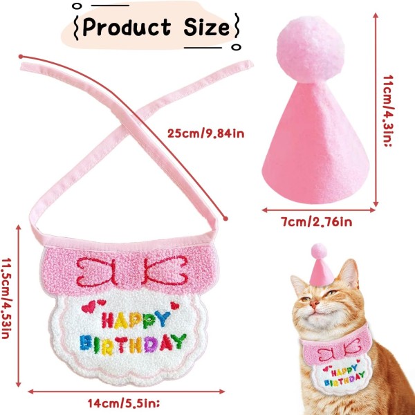 Cat Small Dog Birthday Hat With Bandana