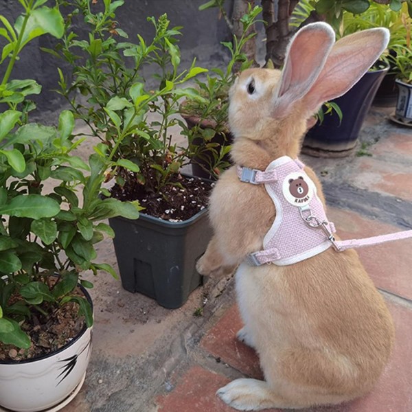 Rabbit Harness and Leash Set | Adjustable Bunny Harness