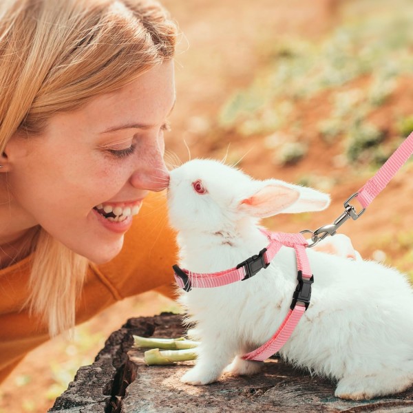 Adjustable Rabbit Harness and Leash Set