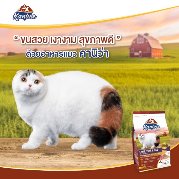 Kaniva Dry Cat Food - Lamb, Tuna & Rice For All Life Stages Cats | Dry Cat Food | Cats Over 4 Months