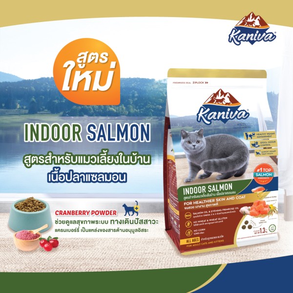 Kaniva Dry Cat Food Indoor Salmon Formula - Turkey, Salmon & Rice For All Life Stages Cats | Dry Cat Food | Cats Over 4 Months
