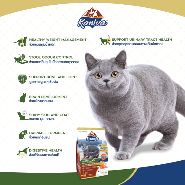 Kaniva Dry Cat Food Indoor Salmon Formula - Turkey, Salmon & Rice For All Life Stages Cats | Dry Cat Food | Cats Over 4 Months