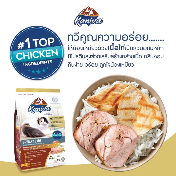 Kaniva Dry Cat Food Urinary Care - Chicken, Turkey & Rice For All Life Stages Cats | Dry Cat Food | Cats Over 4 Months