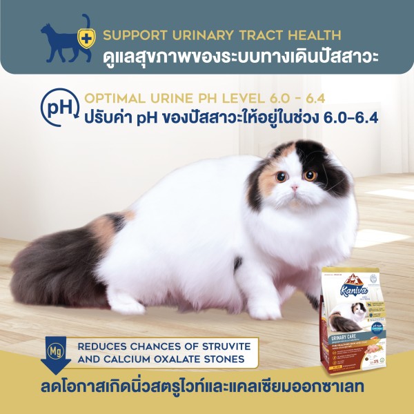 Kaniva Dry Cat Food Urinary Care - Chicken, Turkey & Rice For All Life Stages Cats | Dry Cat Food | Cats Over 4 Months