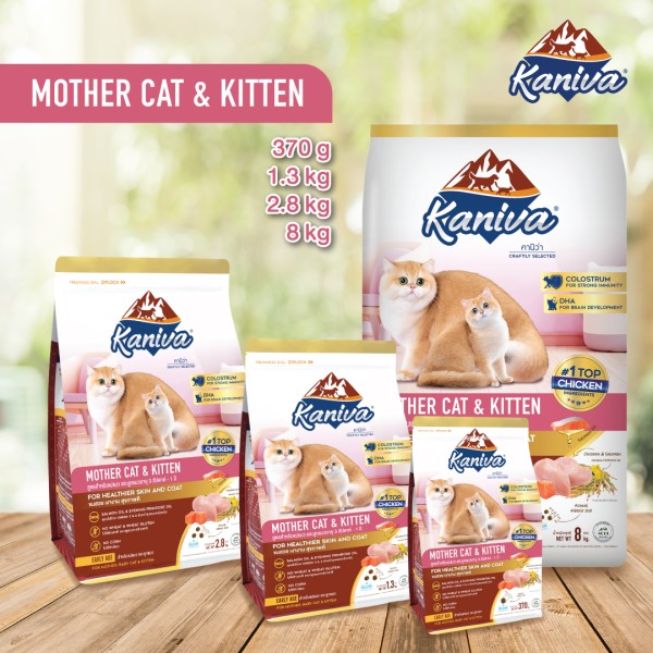Kaniva Dry Cat Food Mother Cat & kitten - Chicken, Salmon & Rice For All Life Stages Cats | Dry Cat Food | Kitten 3 Week To 1 Year