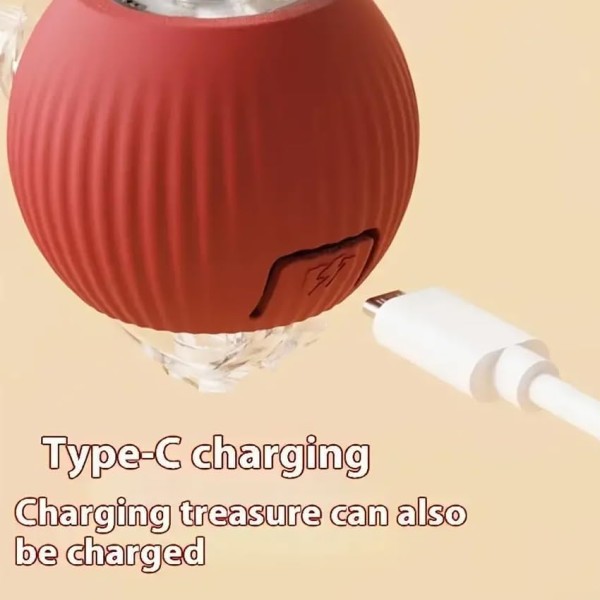 Electric Self-Rolling Pet Toy Ball with Tail Rope For Cat & Small Dog | Rechargeable