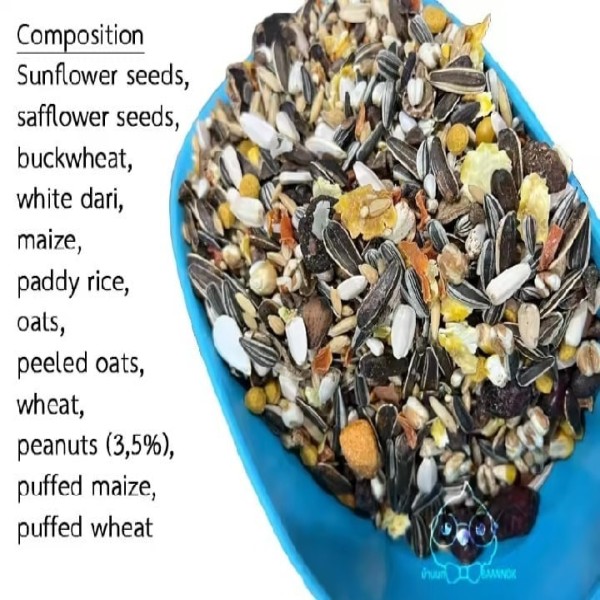 Expert Large Parrot Seed Mix 1kg (Repack)