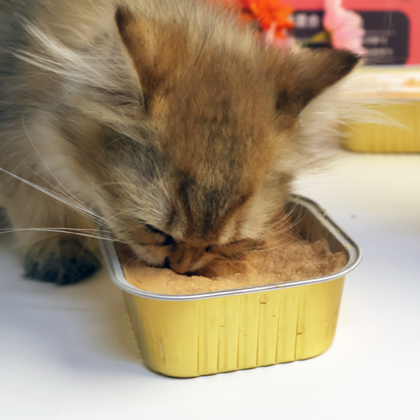 Easa Cat Can Meat Broth Food 3 Flavor