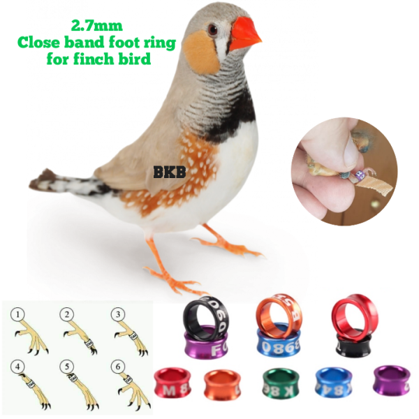Finch Bird Foot Ring Close Random Colour Tag 2.7mm (2pcs)