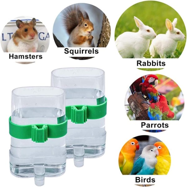 Bird Water Dispensers Also Food Feeder 1pcs
