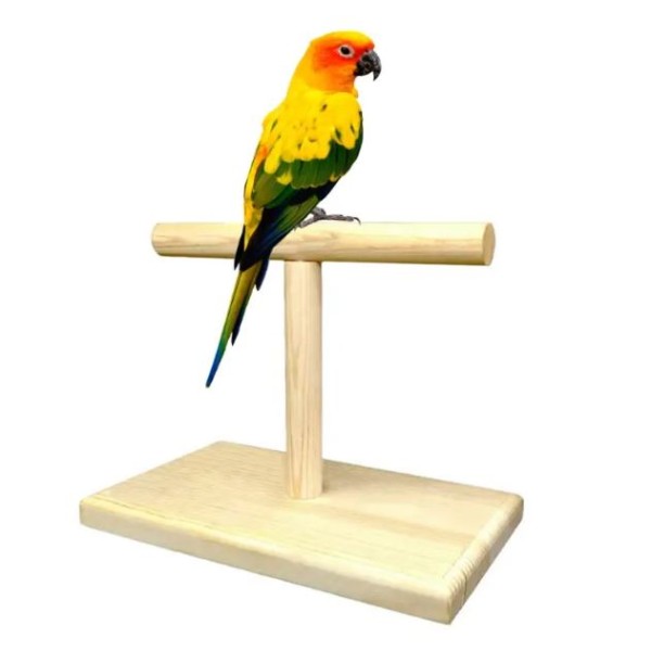 T Stand to Train The Bird