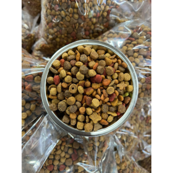 Repack - Adult Cat Food Mixed Brand 1Kg (Suitable for 8 month Kitten Cat ) | Repack Cat Food