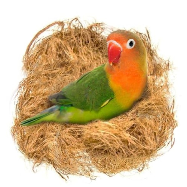 Birds Nesting Material Coconut Fiber