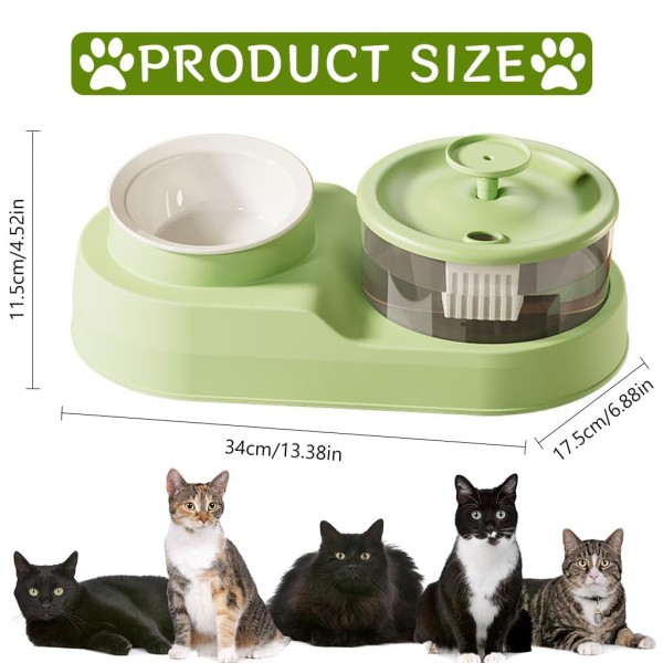 2 in 1 Cat Feeding Bowl with Electric Water Fountain