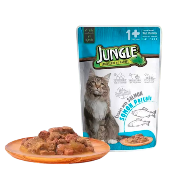 Jungle Cat Pouch Food Adult Chunks With Salmon in Gravy 100gm | Cat Wet Food