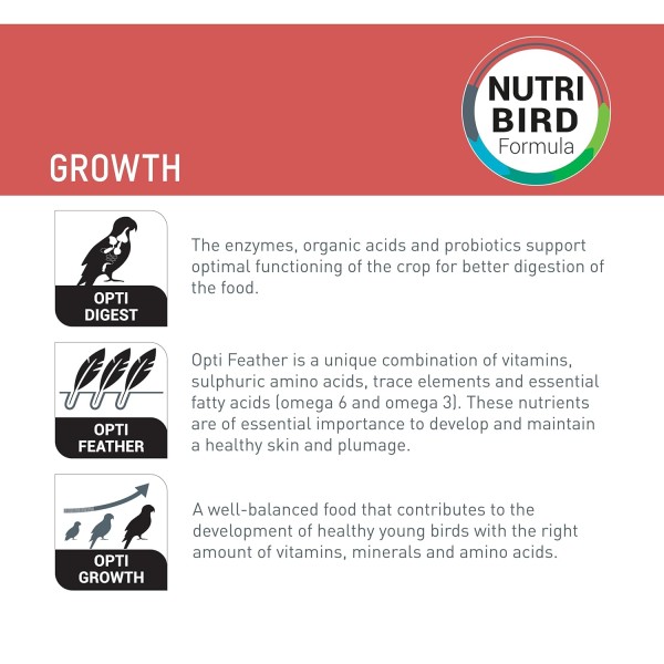 Versele-Laga NutriBird A19 Handfeeding Formula for Baby Birds 250gm