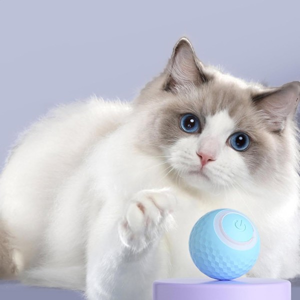 Interactive Rolling Cat Ball Toy | Interactive Ball, Interactive Toy