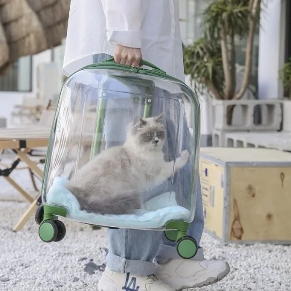 Transparent Cat Trolley Case Dog Hiking Crate Small Animals Pet Carrier