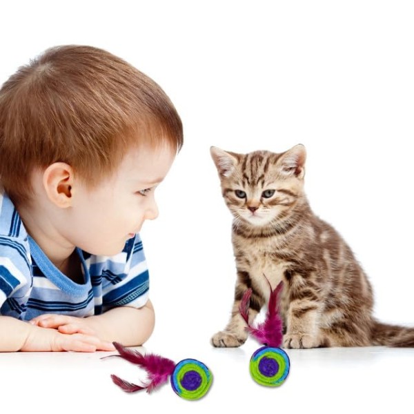 Cat Colorful Rainbow Toys Flutter Balls with Feather