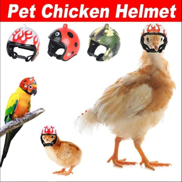 Mini Pet Chicken Helmet Protective Headgear Set Waterproof Cartoon Design